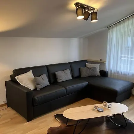 Erika Apartment *